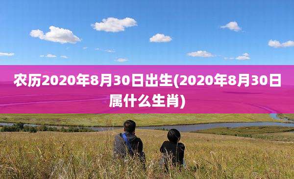 农历2020年8月30日出生(2020年8月30日属什么生肖)
