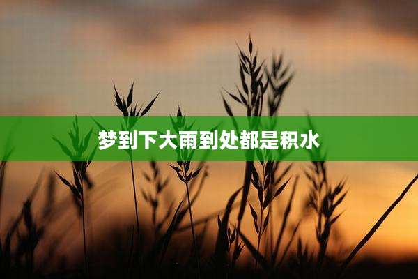 梦到下大雨到处都是积水
