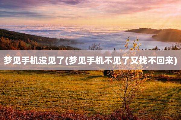 梦见手机没见了(梦见手机不见了又找不回来)