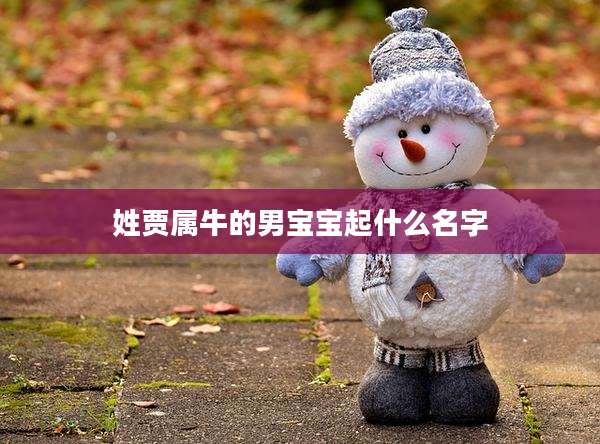 姓贾属牛的男宝宝起什么名字