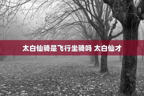 太白仙骑是飞行坐骑吗 太白仙才