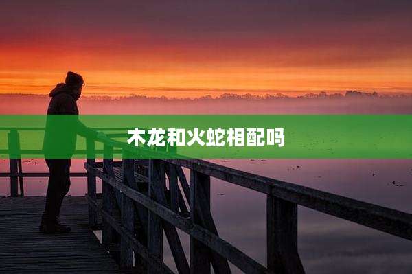 木龙和火蛇相配吗