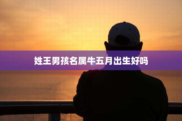姓王男孩名属牛五月出生好吗