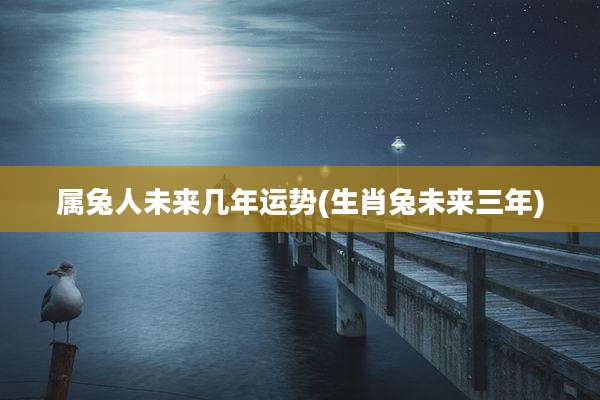 属兔人未来几年运势(生肖兔未来三年)