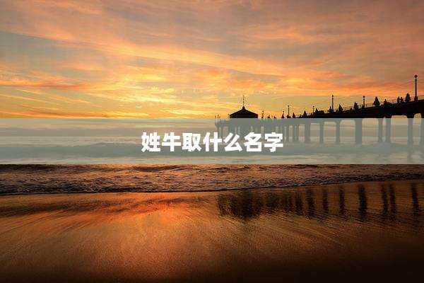 姓牛取什么名字