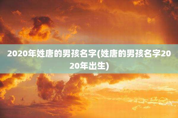 2020年姓唐的男孩名字(姓唐的男孩名字2020年出生)