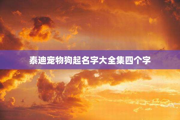 泰迪宠物狗起名字大全集四个字