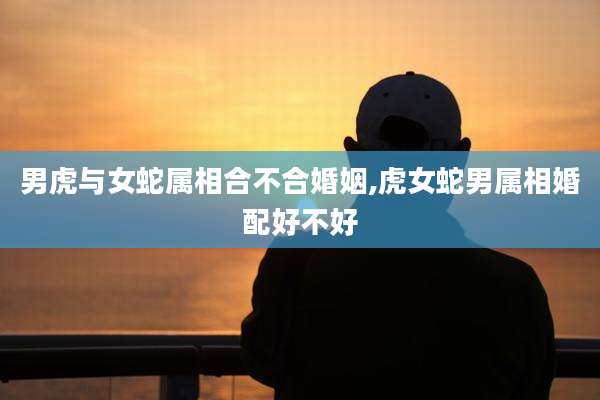 男虎与女蛇属相合不合婚姻,虎女蛇男属相婚配好不好