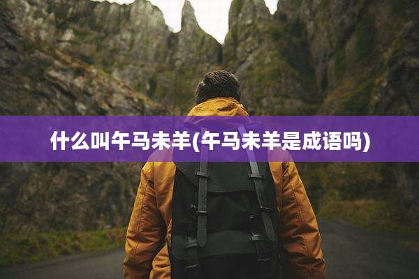 什么叫午马未羊(午马未羊是成语吗)
