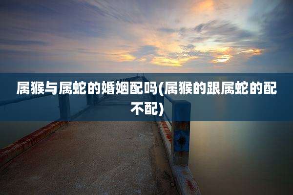 属猴与属蛇的婚姻配吗(属猴的跟属蛇的配不配)