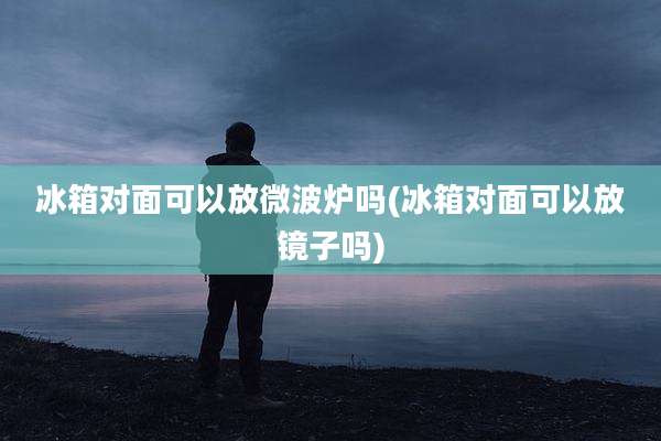 冰箱对面可以放微波炉吗(冰箱对面可以放镜子吗)