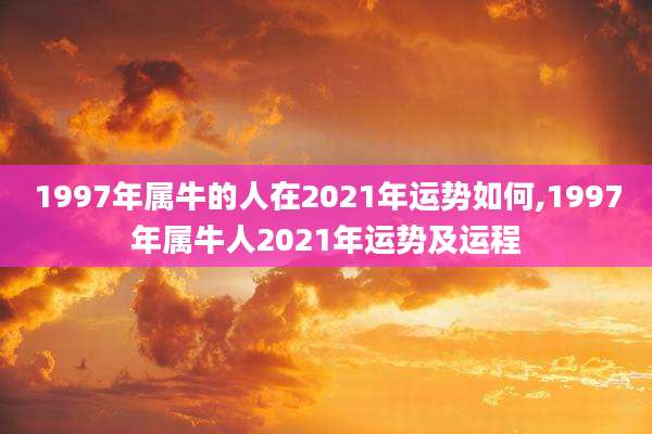 1997年属牛的人在2021年运势如何,1997年属牛人2021年运势及运程