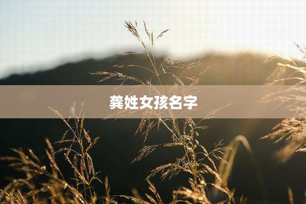 龚姓女孩名字