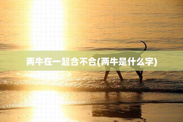 两牛在一起合不合(两牛是什么字)