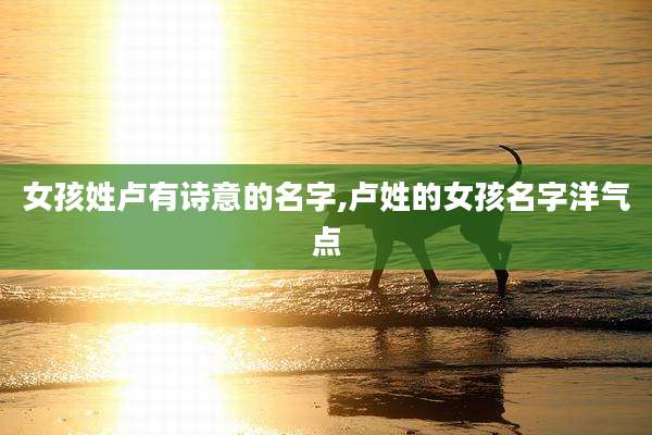 女孩姓卢有诗意的名字,卢姓的女孩名字洋气点