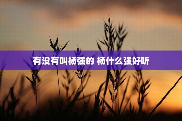 有没有叫杨强的 杨什么强好听