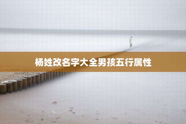 杨姓改名字大全男孩五行属性