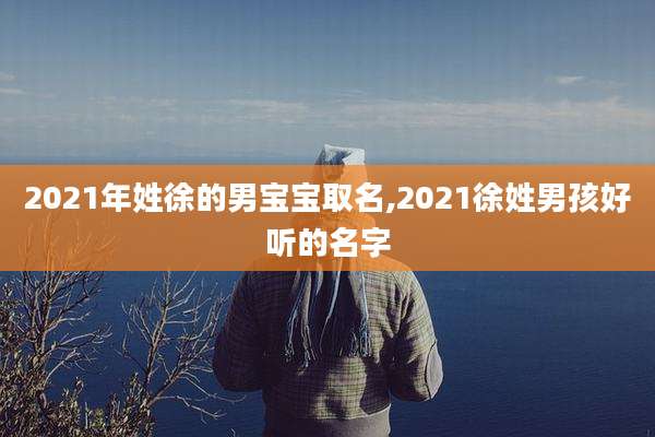 2021年姓徐的男宝宝取名,2021徐姓男孩好听的名字