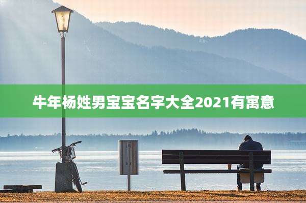 牛年杨姓男宝宝名字大全2021有寓意