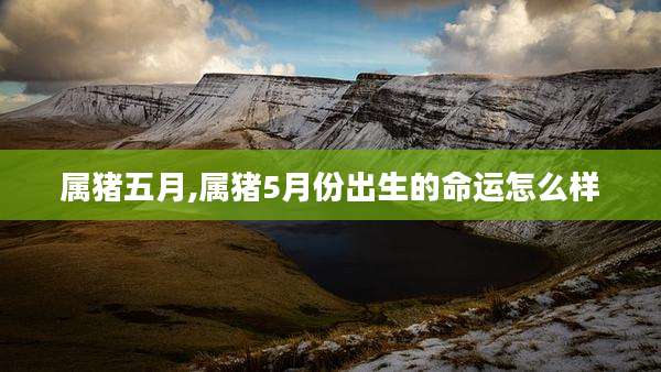 属猪五月,属猪5月份出生的命运怎么样