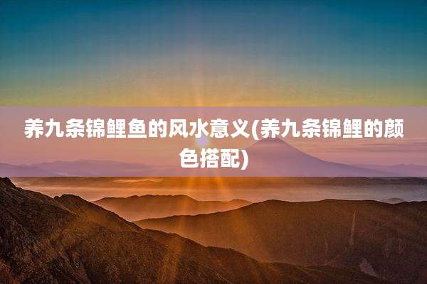 养九条锦鲤鱼的风水意义(养九条锦鲤的颜色搭配)
