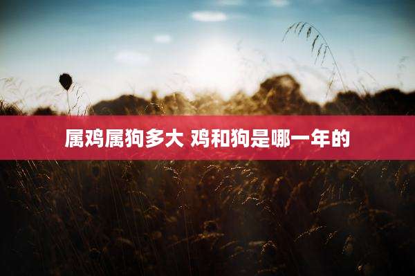 属鸡属狗多大 鸡和狗是哪一年的