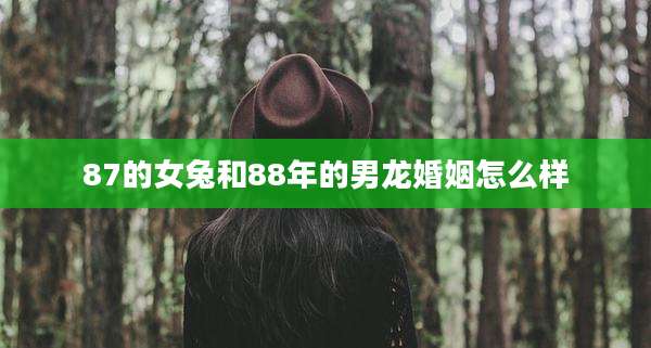 87的女兔和88年的男龙婚姻怎么样