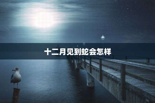 十二月见到蛇会怎样