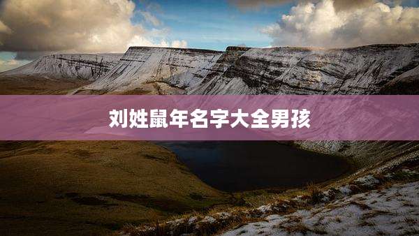 刘姓鼠年名字大全男孩