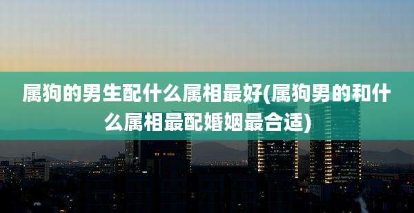 属狗的男生配什么属相最好(属狗男的和什么属相最配婚姻最合适)