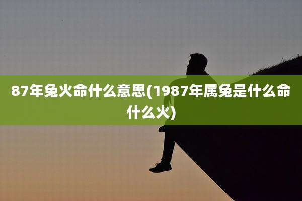 87年兔火命什么意思(1987年属兔是什么命什么火)