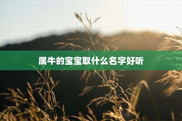 属牛的宝宝取什么名字好听