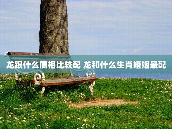 龙跟什么属相比较配 龙和什么生肖婚姻最配