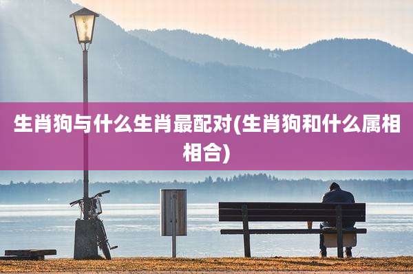 生肖狗与什么生肖最配对(生肖狗和什么属相相合)