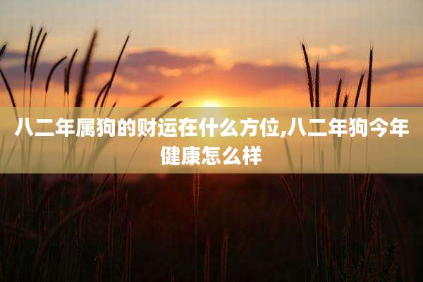 八二年属狗的财运在什么方位,八二年狗今年健康怎么样