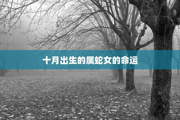 十月出生的属蛇女的命运