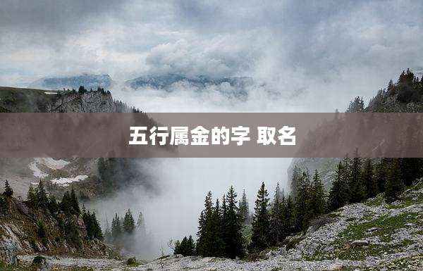 五行属金的字 取名