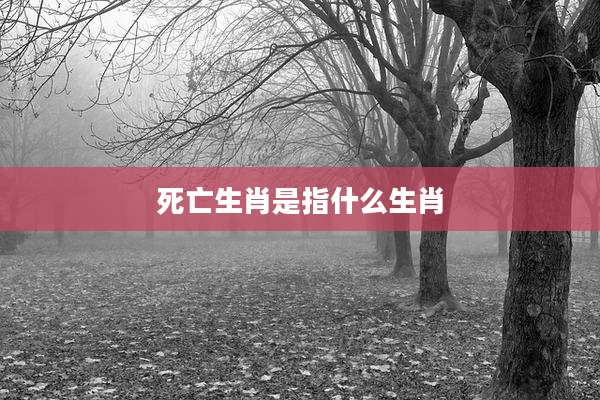 死亡生肖是指什么生肖