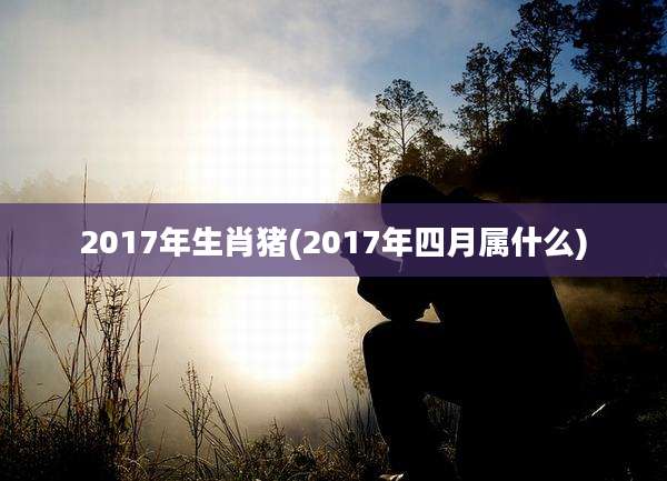 2017年生肖猪(2017年四月属什么)