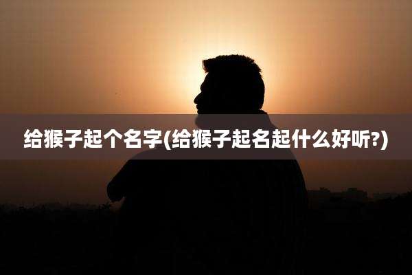 给猴子起个名字(给猴子起名起什么好听?)