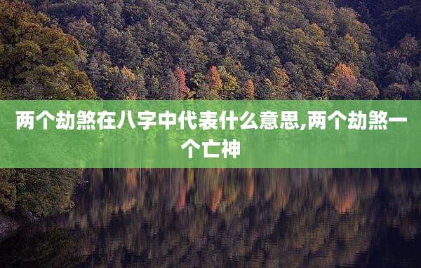 两个劫煞在八字中代表什么意思,两个劫煞一个亡神