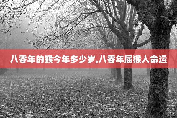八零年的猴今年多少岁,八零年属猴人命运