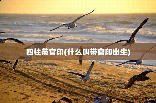 四柱带官印(什么叫带官印出生)