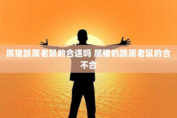 属猪跟属老鼠的合适吗 属猪的跟属老鼠的合不合