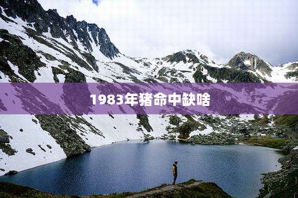 1983年猪命中缺啥