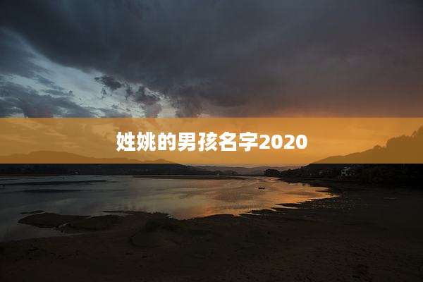 姓姚的男孩名字2020