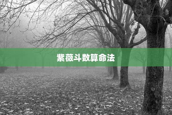 紫薇斗数算命法