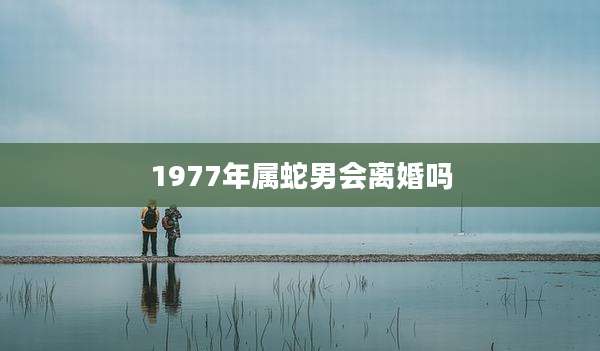 1977年属蛇男会离婚吗