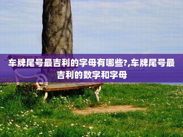 车牌尾号最吉利的字母有哪些?,车牌尾号最吉利的数字和字母