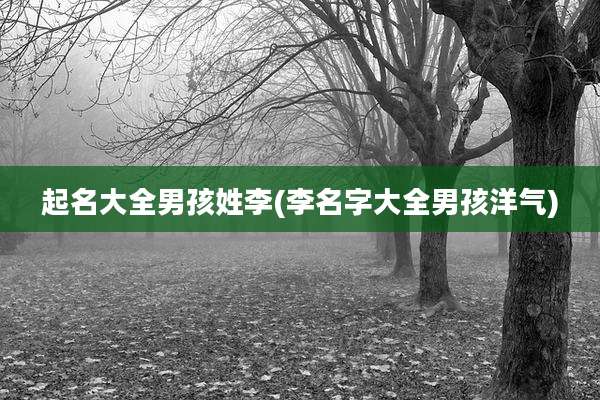 起名大全男孩姓李(李名字大全男孩洋气)
